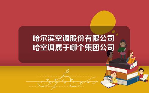 哈尔滨空调股份有限公司 哈空调属于哪个集团公司