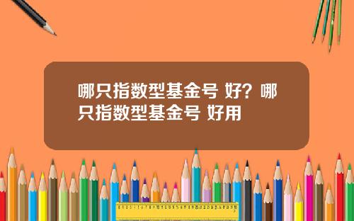 哪只指数型基金号 好？哪只指数型基金号 好用