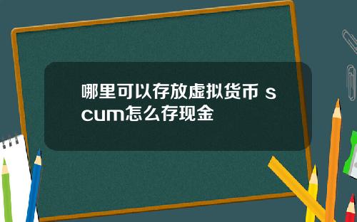 哪里可以存放虚拟货币 scum怎么存现金