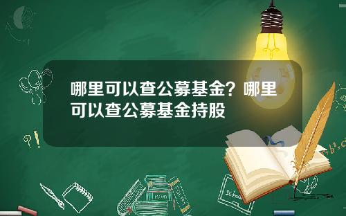 哪里可以查公募基金？哪里可以查公募基金持股