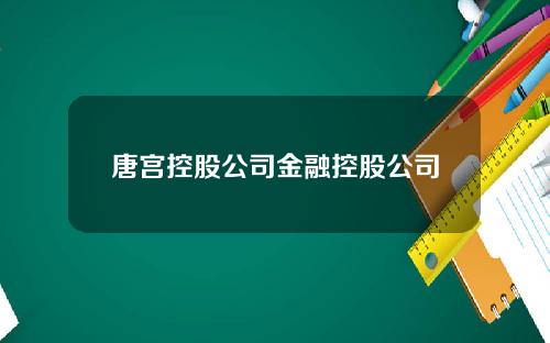 唐宫控股公司金融控股公司