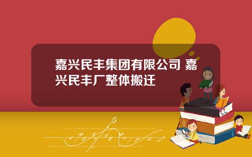 嘉兴民丰集团有限公司 嘉兴民丰厂整体搬迁