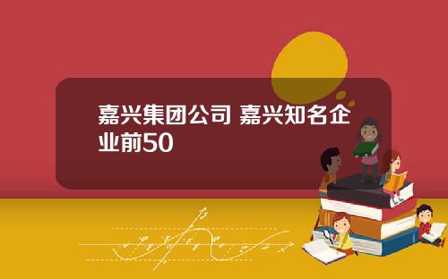 嘉兴集团公司 嘉兴知名企业前50