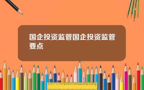 国企投资监管国企投资监管要点