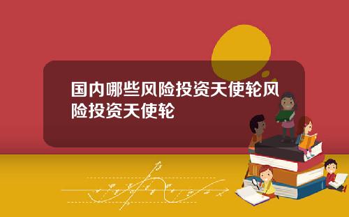 国内哪些风险投资天使轮风险投资天使轮