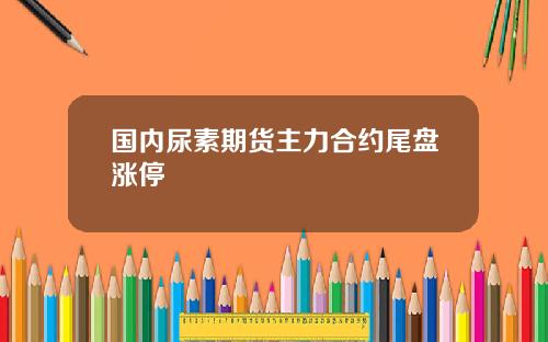 国内尿素期货主力合约尾盘涨停