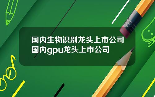 国内生物识别龙头上市公司国内gpu龙头上市公司