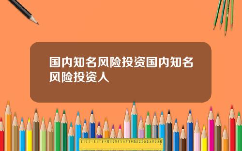国内知名风险投资国内知名风险投资人