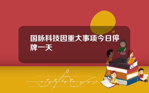 国脉科技因重大事项今日停牌一天