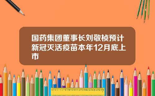 国药集团董事长刘敬桢预计新冠灭活疫苗本年12月底上市