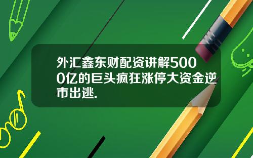 外汇鑫东财配资讲解5000亿的巨头疯狂涨停大资金逆市出逃.