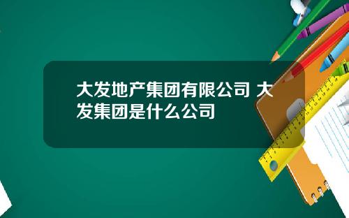 大发地产集团有限公司 大发集团是什么公司