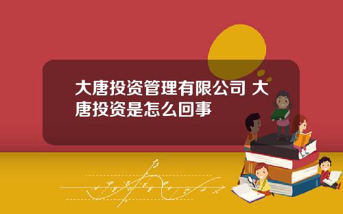大唐投资管理有限公司 大唐投资是怎么回事