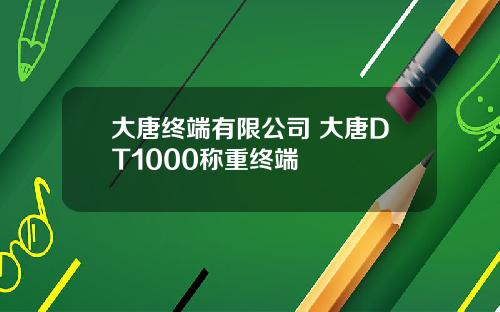 大唐终端有限公司 大唐DT1000称重终端