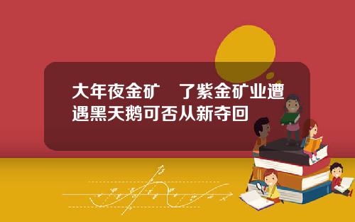 大年夜金矿丟了紫金矿业遭遇黑天鹅可否从新夺回
