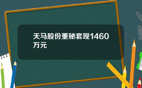 天马股份董秘套现1460万元