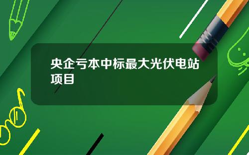 央企亏本中标最大光伏电站项目