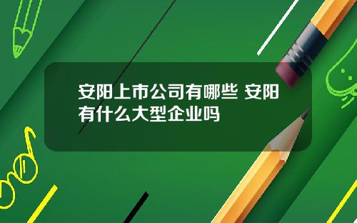 安阳上市公司有哪些 安阳有什么大型企业吗