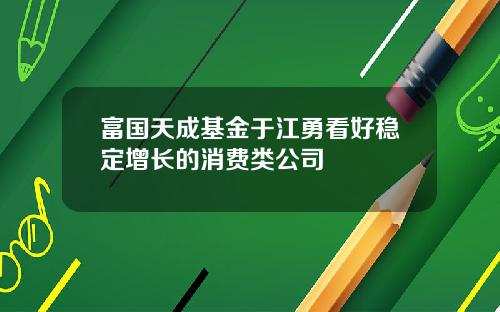 富国天成基金于江勇看好稳定增长的消费类公司