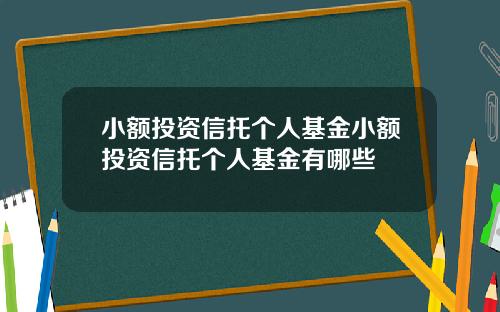 小额投资信托个人基金小额投资信托个人基金有哪些