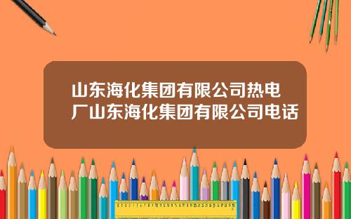山东海化集团有限公司热电厂山东海化集团有限公司电话