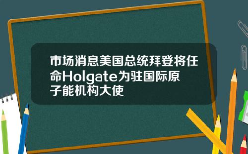 市场消息美国总统拜登将任命Holgate为驻国际原子能机构大使