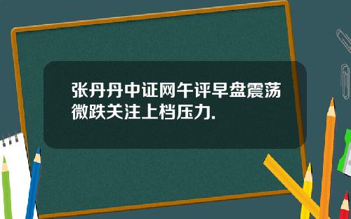 张丹丹中证网午评早盘震荡微跌关注上档压力.