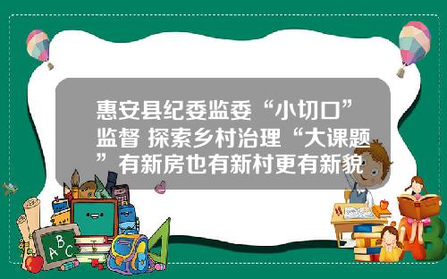 惠安县纪委监委“小切口”监督 探索乡村治理“大课题”有新房也有新村更有新貌