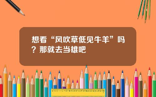 想看“风吹草低见牛羊”吗？那就去当雄吧
