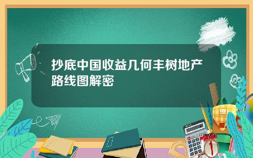 抄底中国收益几何丰树地产路线图解密