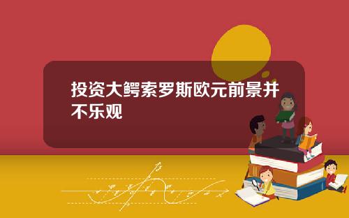 投资大鳄索罗斯欧元前景并不乐观