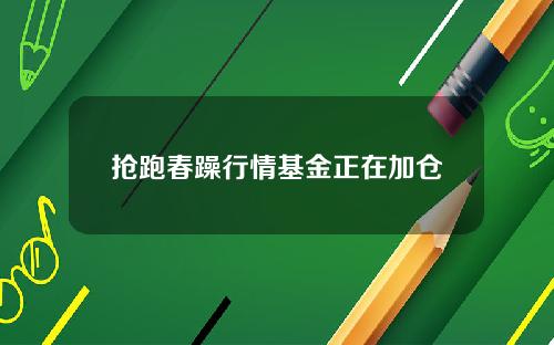 抢跑春躁行情基金正在加仓
