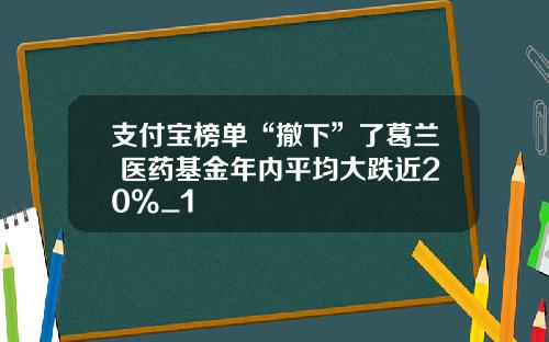 支付宝榜单“撤下”了葛兰 医药基金年内平均大跌近20%_1