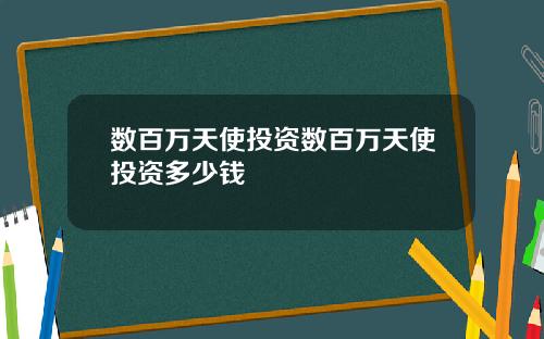 数百万天使投资数百万天使投资多少钱