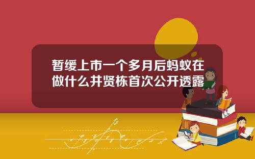 暂缓上市一个多月后蚂蚁在做什么井贤栋首次公开透露