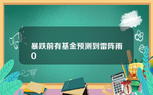 暴跌前有基金预测到雷阵雨0