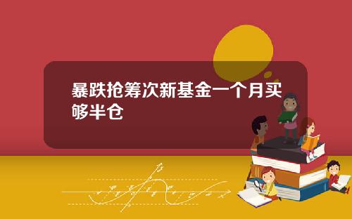 暴跌抢筹次新基金一个月买够半仓