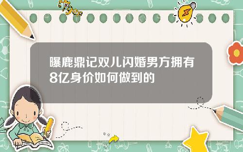 曝鹿鼎记双儿闪婚男方拥有8亿身价如何做到的