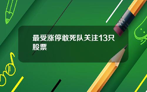 最受涨停敢死队关注13只股票