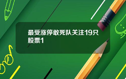 最受涨停敢死队关注19只股票1