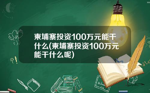 柬埔寨投资100万元能干什么(柬埔寨投资100万元能干什么呢)