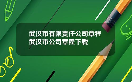 武汉市有限责任公司章程 武汉市公司章程下载