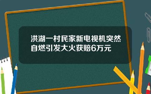 洪湖一村民家新电视机突然自燃引发大火获赔6万元