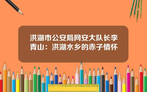 洪湖市公安局网安大队长李青山：洪湖水乡的赤子情怀