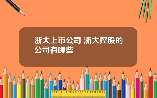 浙大上市公司 浙大控股的公司有哪些