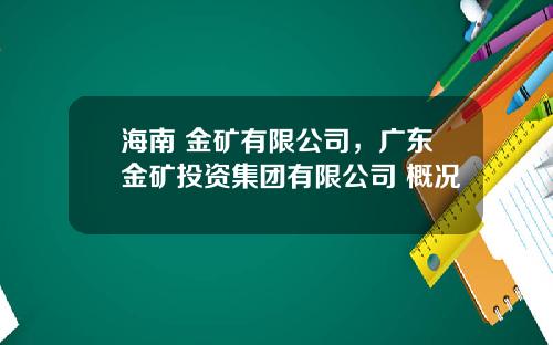海南 金矿有限公司，广东金矿投资集团有限公司 概况