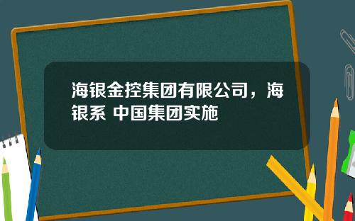 海银金控集团有限公司，海银系 中国集团实施