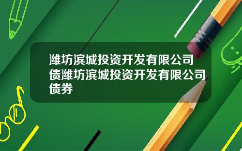 潍坊滨城投资开发有限公司债潍坊滨城投资开发有限公司债券