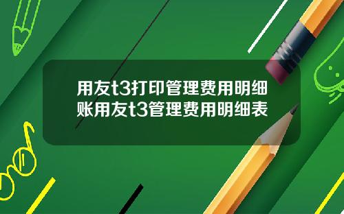 用友t3打印管理费用明细账用友t3管理费用明细表