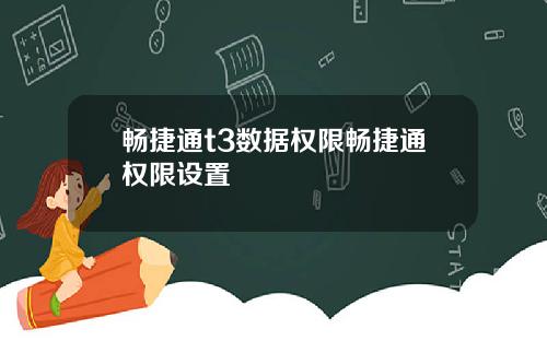 畅捷通t3数据权限畅捷通权限设置